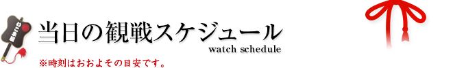 当日の観戦スケジュール